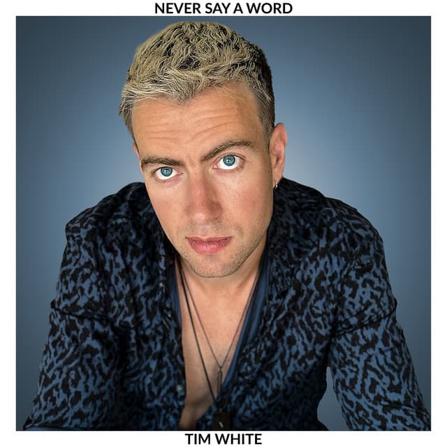 Never Say A Word cover art