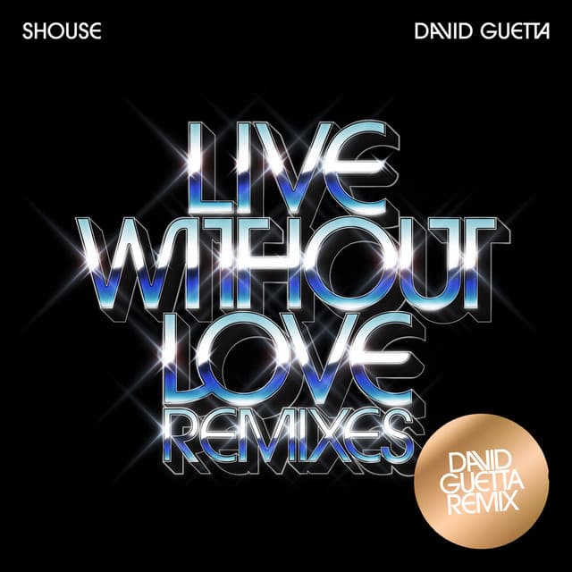 Live Without Love (David Guetta Remix) artwork