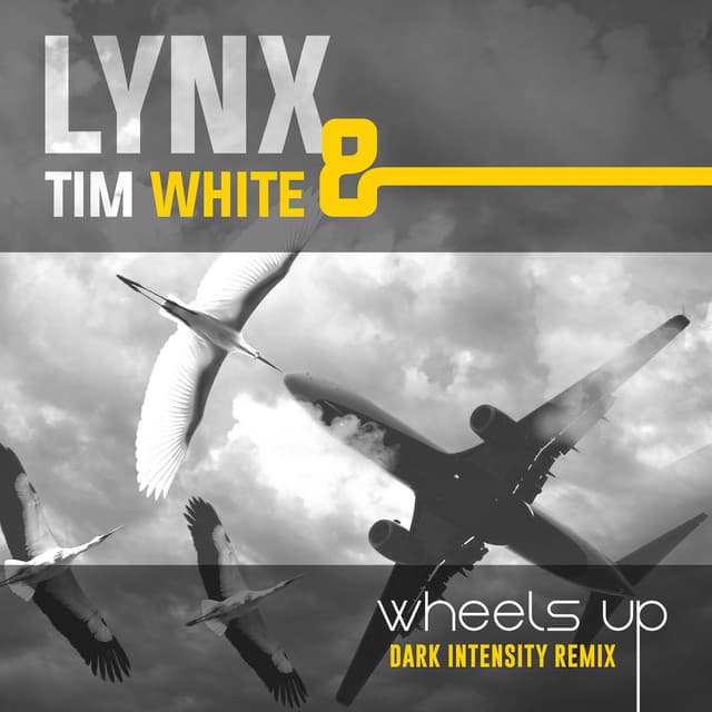 Wheels Up (Dark Intensity Remix) artwork