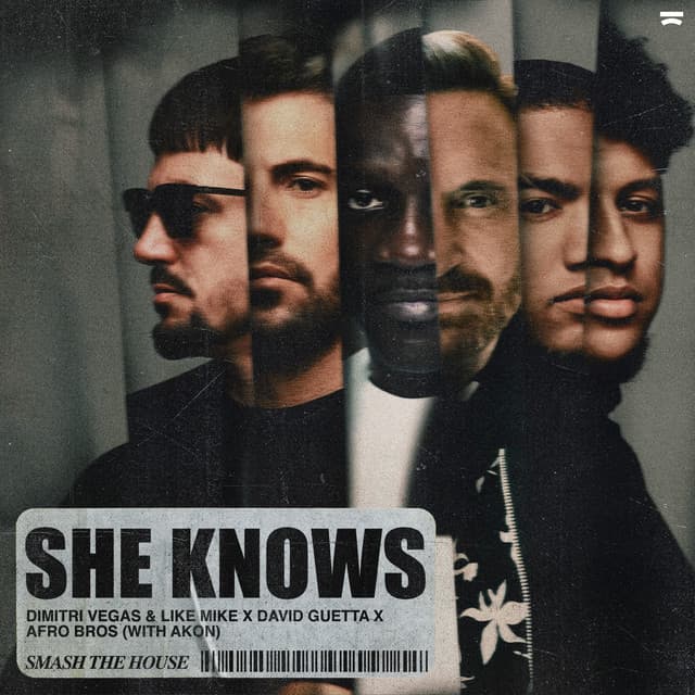 She Knows (with Akon) artwork