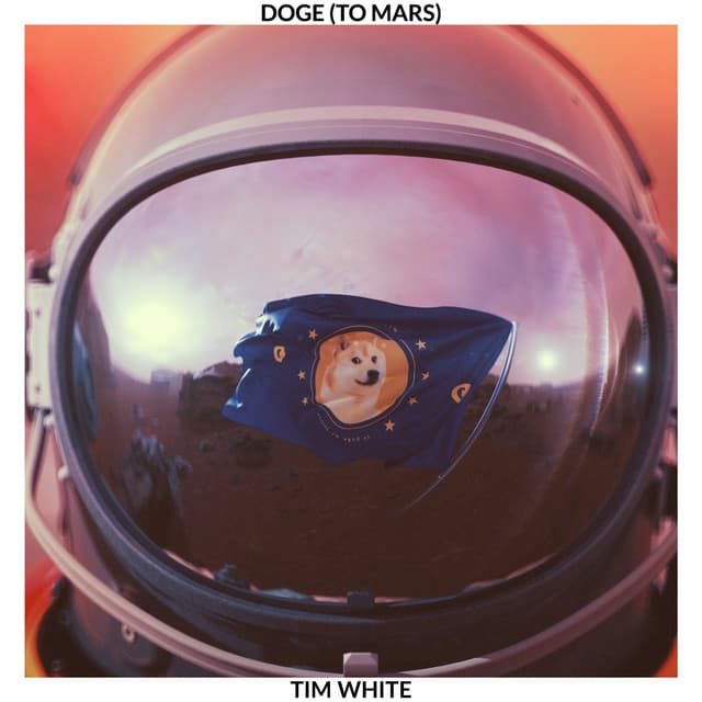 Doge (To Mars) artwork