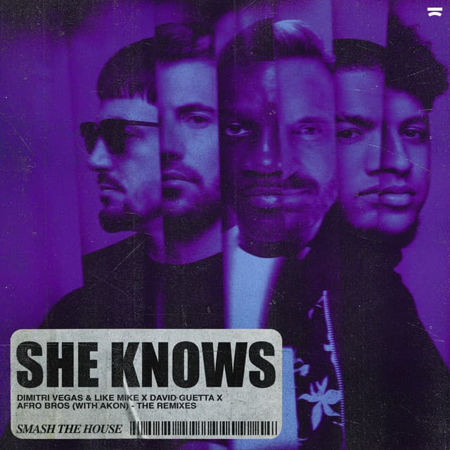 She Knows (with Akon) [The Remixes] artwork