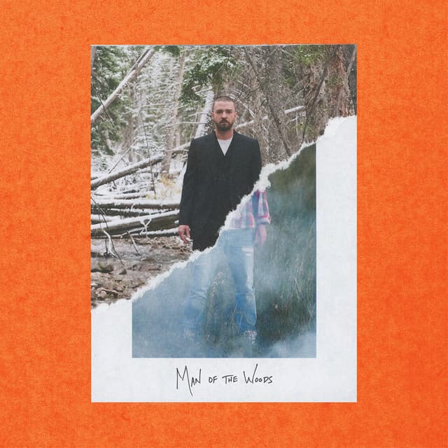 Man of the Woods artwork